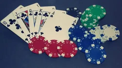 topbet