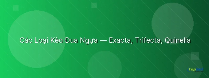 Các Loại Kèo Đua Ngựa TopBet — Exacta, Trifecta, Quinella  - đua ngựa